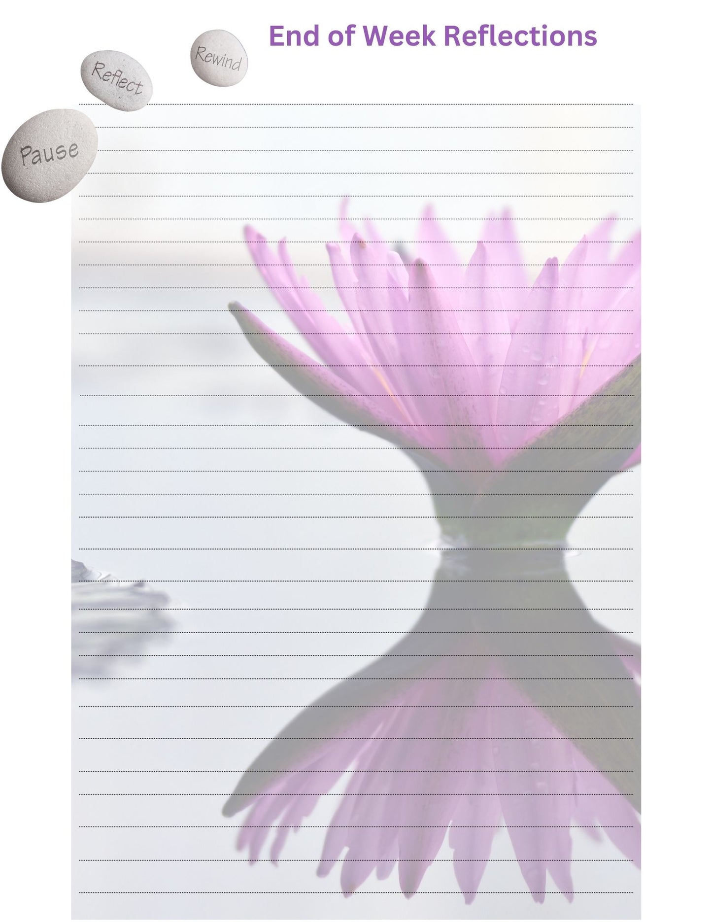 Seeds of A Woman Journal